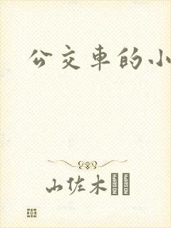 公交车的小说