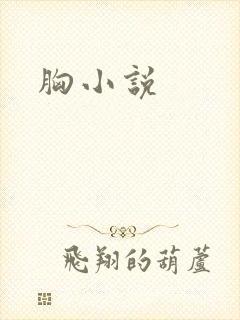 胸小说