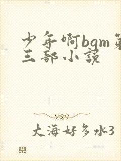 少年啊bgm第三部小说