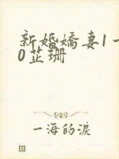 新婚娇妻1一40芷珊