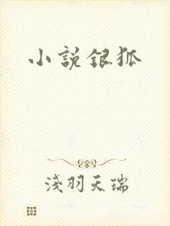小说银狐