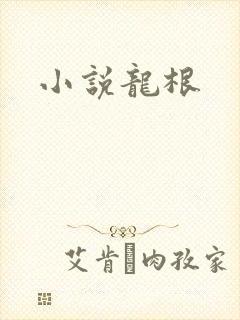 小说龙根