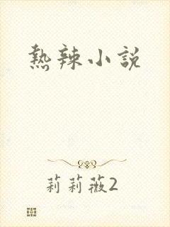 热辣小说
