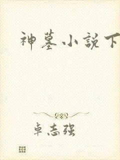 神墓小说下载