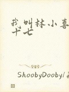 我叫林小喜今年十七