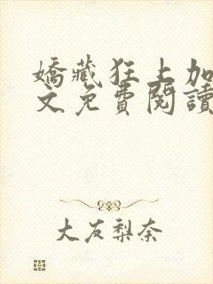 娇藏狂上加狂全文免费阅读笔趣阁