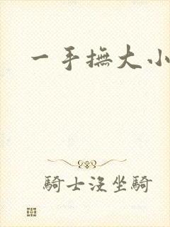 一手抚大小说