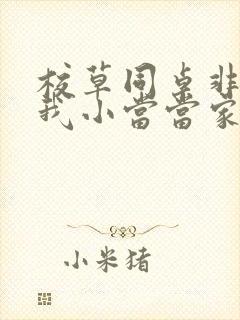 校草同桌非要撩我小当当家