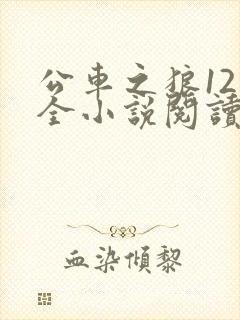 公车之狼12集全小说阅读