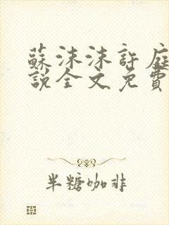 苏沫沫许庭川小说全文免费阅读