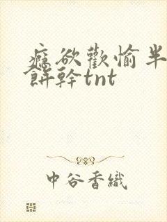 瘾欲欢愉半块小饼干tnt