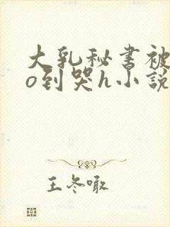 大乳秘书被cao到哭h小说