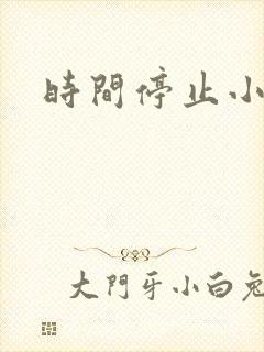 时间停止小说