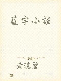 蓝宇小说