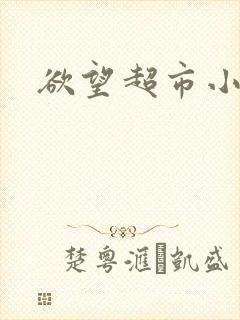 欲望超市小说