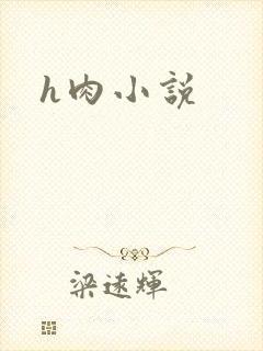 h肉小说