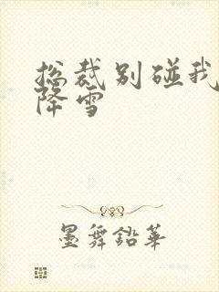 总裁别碰我 韩降雪