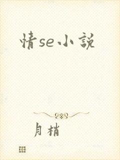 情se小说