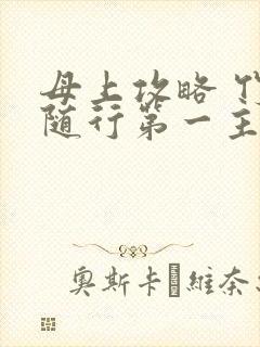 母上攻略 竹影随行第一主板