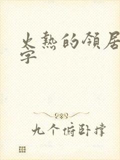 火热的领居中文字