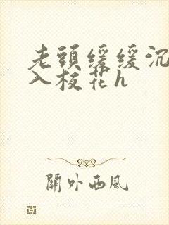 老头缓缓沉腰进入校花h