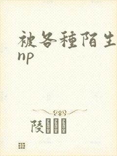 被各种陌生人 np