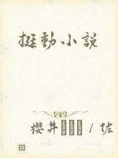 挺动小说