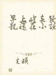 早上醒来发现巨龙还在小说