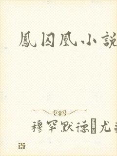 凤囚凰小说
