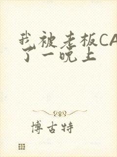 我被老板CAO了一晚上