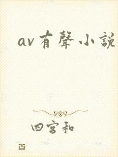 av有声小说