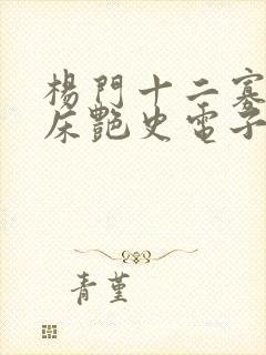 杨门十二寡妇肉床艳史电子书