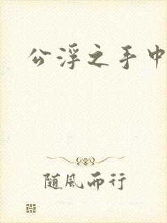 公浮之手中字5
