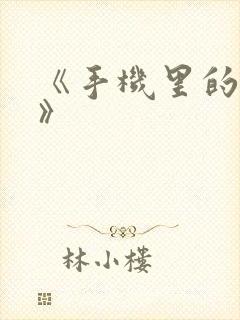 《手机里的秘密》