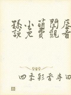 孙小萌闫辰的小说免费观看