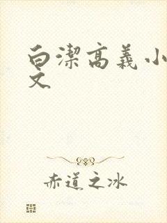 白洁高义小说全文