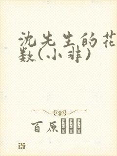 沈先生的花式调数(小非)