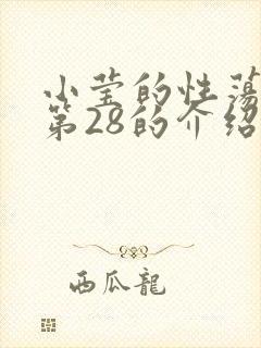 小莹的性荡生活第28的介绍