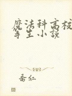 魔法科高校的劣等生小说