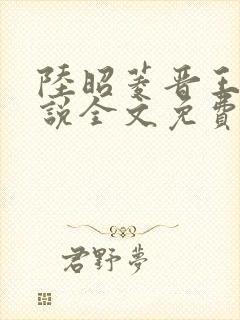 陆昭菱晋王的小说全文免费阅读