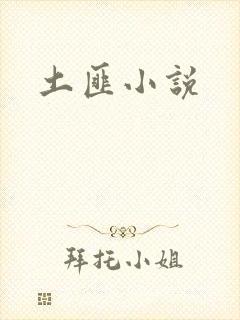 土匪小说
