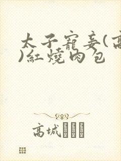 太子宠妾(高肉)红烧肉包