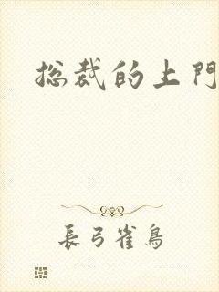 总裁的上门女婿