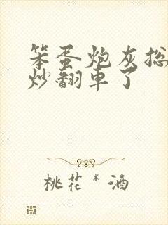 笨蛋炮灰总被爆炒翻车了