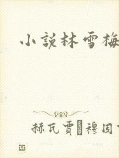 小说林雪梅