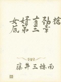 女婿有劲枪枪到底第三章