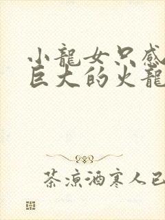 小龙女只感觉那巨大的火龙枪