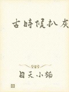 古时候扒灰小说