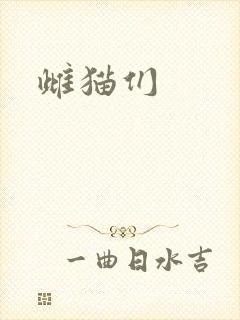雌猫们