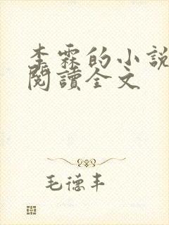 李霖的小说免费阅读全文